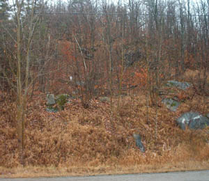 Lime Kiln site today. Grant Settlement Road