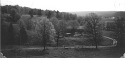 Elda Spence. The Old Byce Farm on the Broome Road, off the Grants Settlement Road